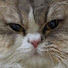 zbjnoriTAes-channel-avatar-Solique