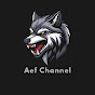 Aef Channel  logo