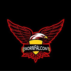 هيثم - BORNFALCON