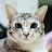 @세실리아-e9b