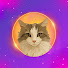 5yzHb37FWMQ-channel-avatar-Sophia KW