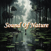 Sound Of Nature