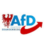 AfD-Fraktion Brandenburg logo