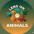 Y7fUHwLtjJ8-channel-avatar-Lens on Animals