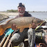 SRgxSo-npyM-channel-avatar-Naive Angler