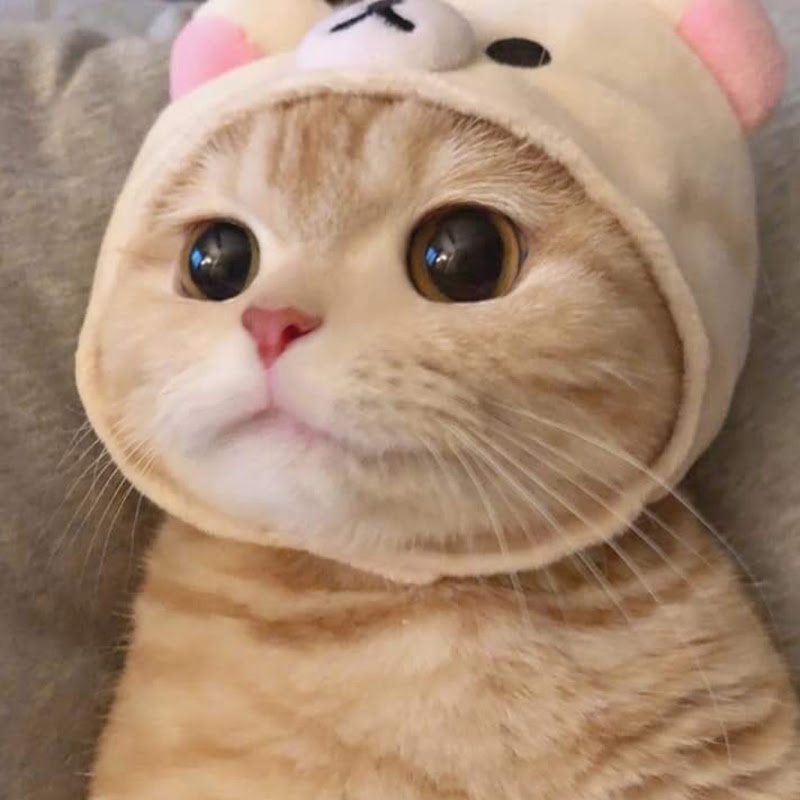 ㅇ