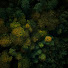 GAZLJggt9pI-channel-avatar-My little Wood home