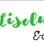 lisolutionstore logo