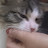 @غرامققققق
