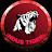 INDUS TIGERS 