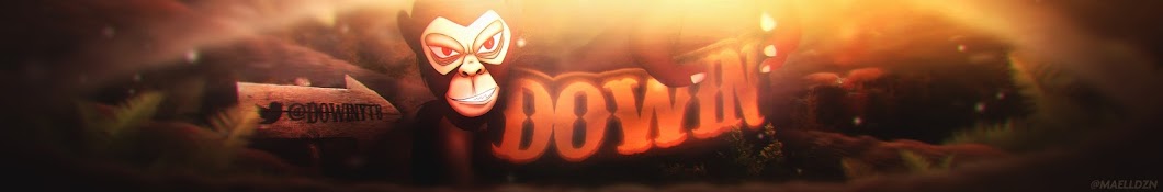 Dowin YouTube kanalı avatarı