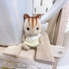 𝜗𝜚 ⸝⸝  ɪᴛᴢᴇʟʟxᴇ ꙳⋆🪽