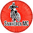 K_FIP4kBT88-channel-avatar-Snikkeren MC