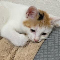 もあき