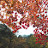 @청보리-c7d