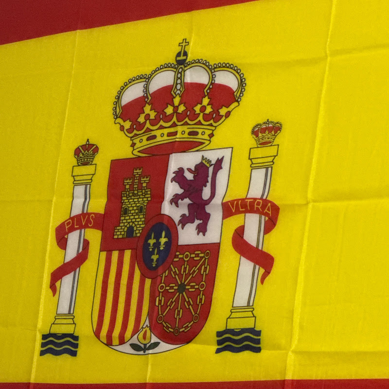 Punjabi boys in spain avatar