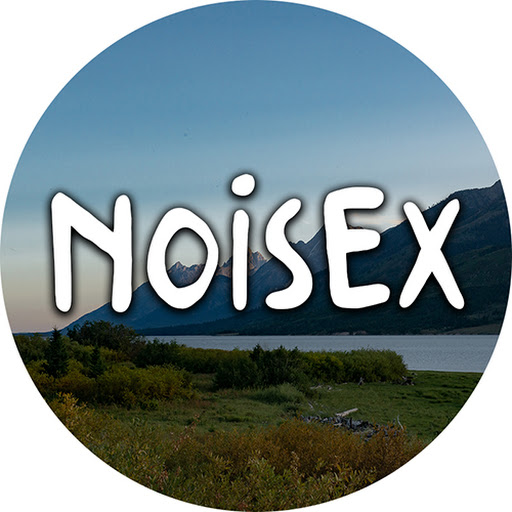 Noisex