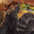 @fallingskies3337's avatar