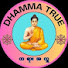 1vqwuYjl15g-channel-avatar-Dhamma true