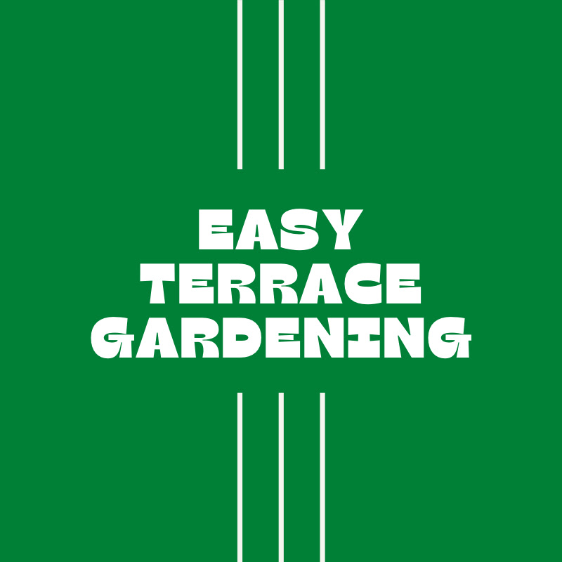 Easy Terrace Gardening