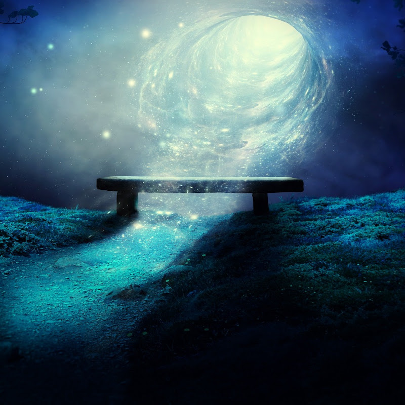Mystical Forest Ambience