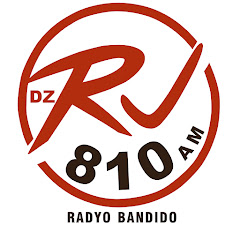 DZRJ 810 AM - Radyo Bandido net worth