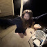 miDgi7mTE3U-channel-avatar-Brooklynn Lovell