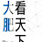大肥看天下