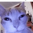 4H3CWgqXwWw-channel-avatar-applep3n