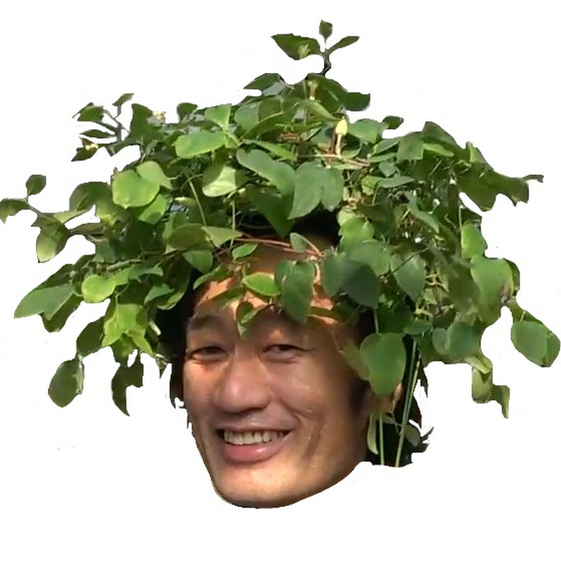 真打カーメン君のサムネイル