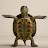 @T-PosingTurtle