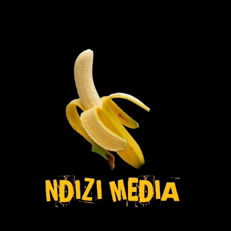 NDIZI MEDIA