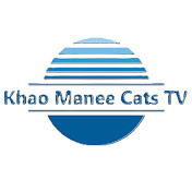 khao manee cats tv