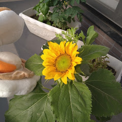 都合により消しましたアイコン画像