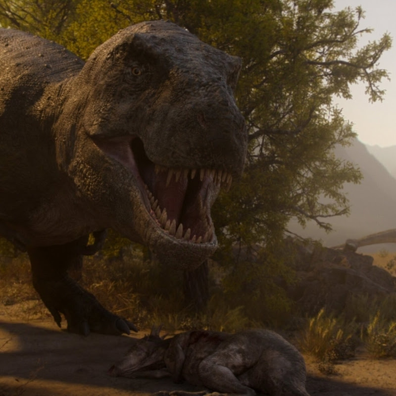 Prehistoric Documentary 