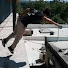 BodII1Er7h4-channel-avatar-Coach Evan Gray
