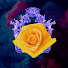FAkvy-48QQI-channel-avatar-goldrosemage