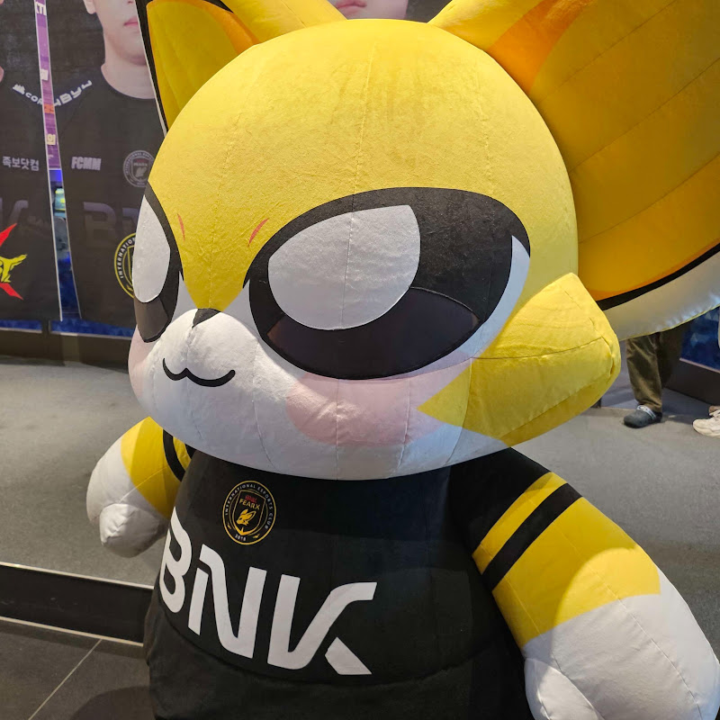 폭스라이트
