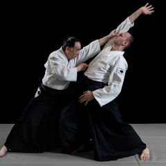 Daito-ryu Aiki-jujutsu HQ-大東流合気柔術本部