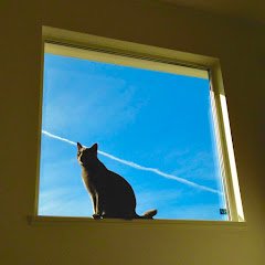 まろんぼーるアイコン画像