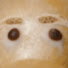 p10vgqSqzZU-channel-avatar-Tedward_VR