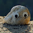 AWTiQrYaKnY-channel-avatar-Blender Shenanigans