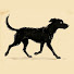 TA7qRC9cZAc-channel-avatar-South Prado