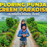 sU6bIEO_nVY-channel-avatar-Jasika Sidhu