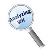  AnalyzingWit