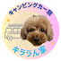 iYmI1Ga3xGs-channel-avatar-キララん家【犬と旅するキャンピングカー】
