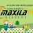 maxila academy"building strength to excel"