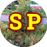 kzpWygFUdnI-channel-avatar-SP Hindi kahani