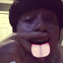 NocturnOwl net worth