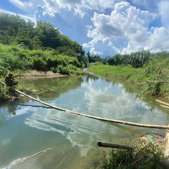 Adventure in the Tropics Avatar